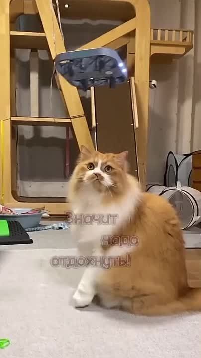 #������������