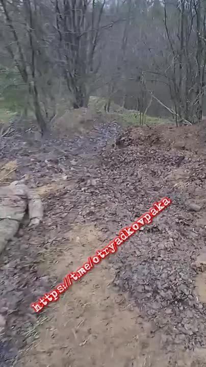 ����� �� ����������. ��� ������� ������� ��������� ���������� ���� ���������. ������, ��� ���������� �������� ������ � ��������������