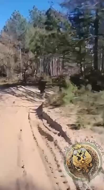 ��� ������: ���������� �����������, ����������� ��������� �����: