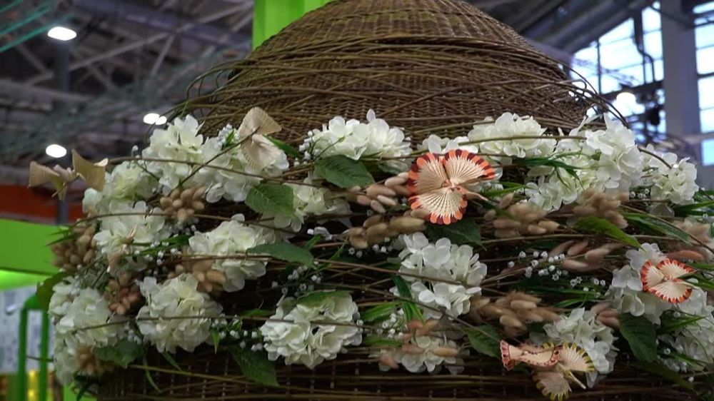 ����������� ����������� ���� � ������ �� �������� �� ���� ������ � �������� "������" ���������� �������� �����