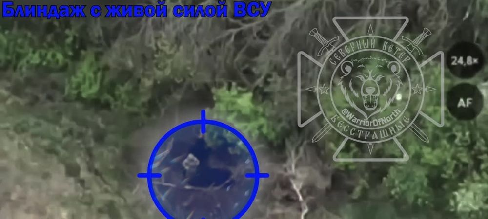 ����� ����������� ������� ������� ����������