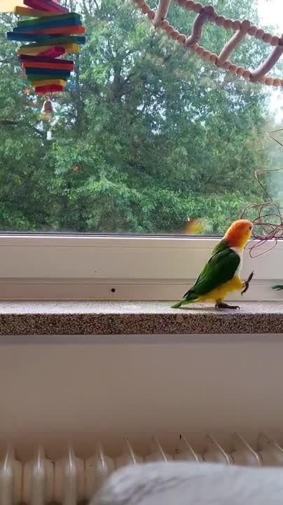 �� �������� ���������� ���������!