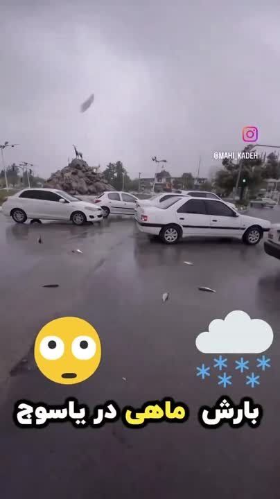 ����� �� ���� ������ ��� �������� ������� �����