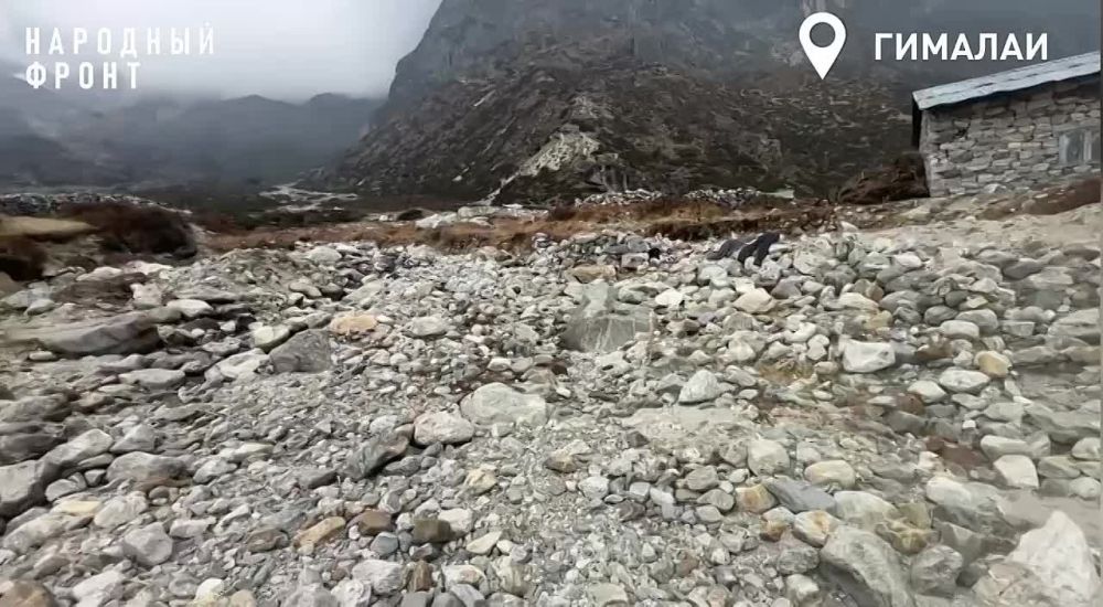 �������� ����� ���������� ������� �������� ����� ������ ��� ���� ��� � ��������