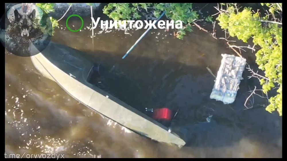 ���������� �����������. ����������� � ����������� ����� ���