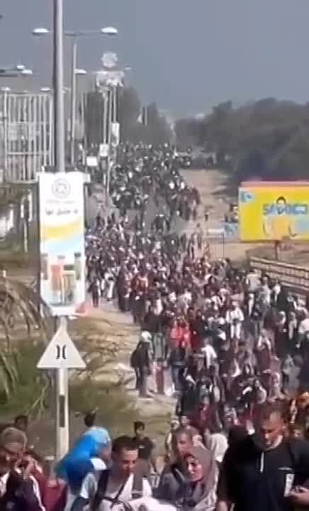 ����� � ������. ������� �������� ����� ����� ������� ������� �������� �������