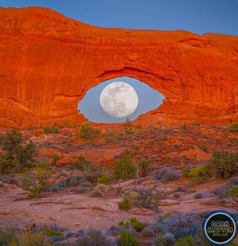 �������, ��� ��� �� ���������� �������� ����?