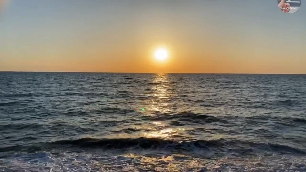 ���� ������ �� �����. ���� ��� ������, ������ ������!