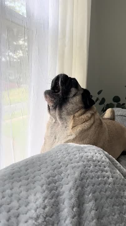 ����� �������� �������� �� ���� �������