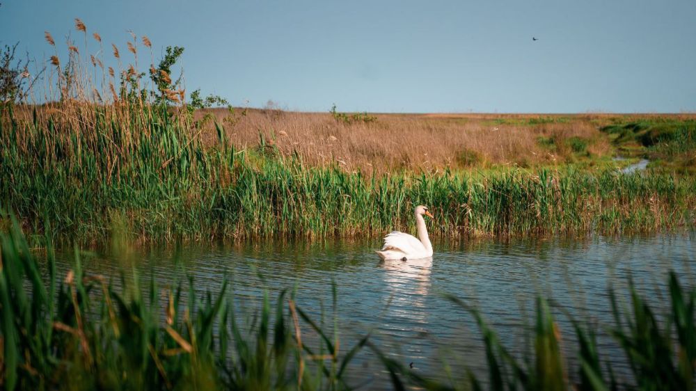 ���������� � ����������� � �������� ����