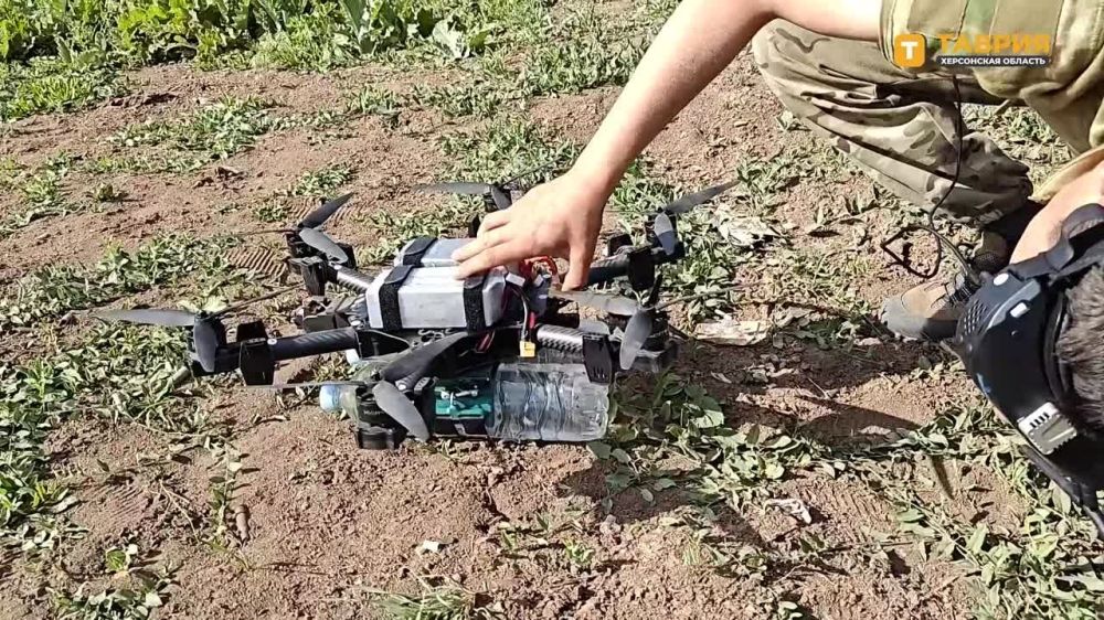 �������� ���� ��������� �� ����������� ���������� ������ ���������� ���� � ������ ��������