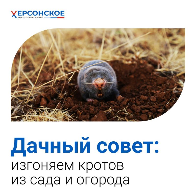 ������ ��������, ������ � ������