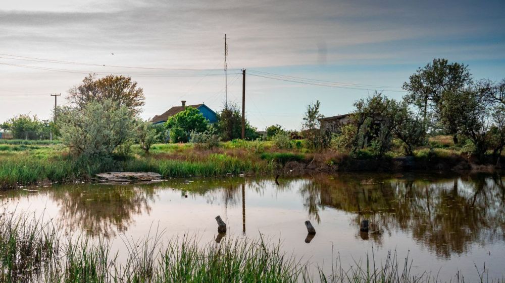 �������� ������: ���������� � ����������� � �������� ����