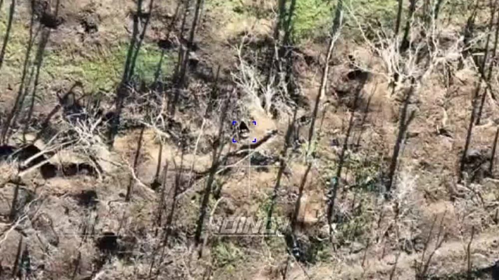 ��������� ���� 14 ��������� ����������� ������� �������� ����������� "������" ���������� �� �������� ��� �� ����-�������� �����������