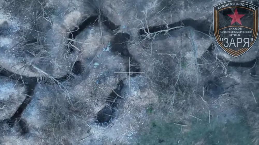 ������ �� ����� ���� �������� ���