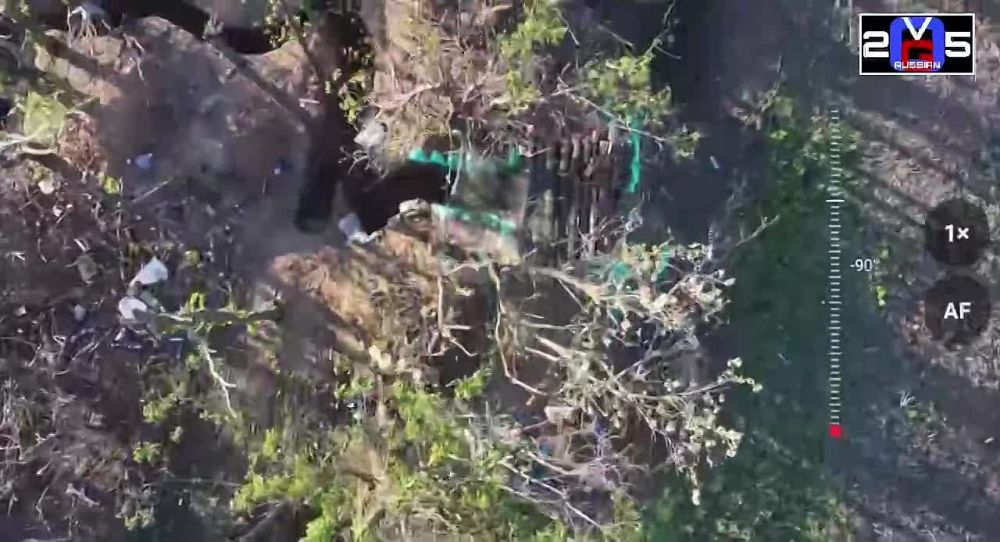 ���������, ���������, ���������� ���� �����, �������� �������� ����������, ��������� ��� �� �����