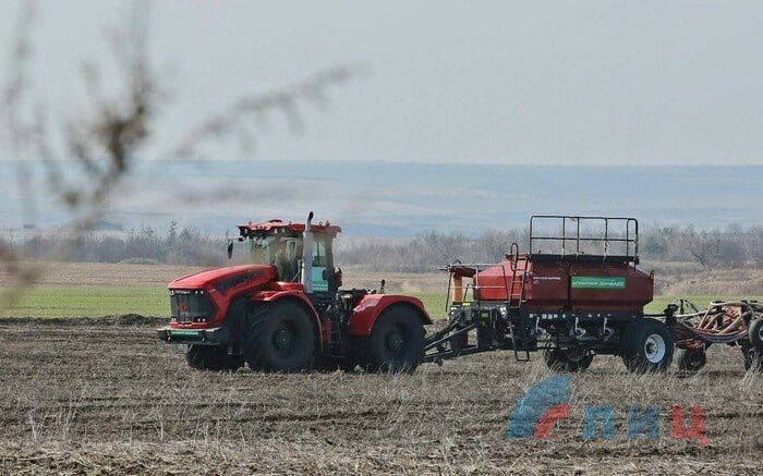 ���, ���, ����������� �������, ���������� �������