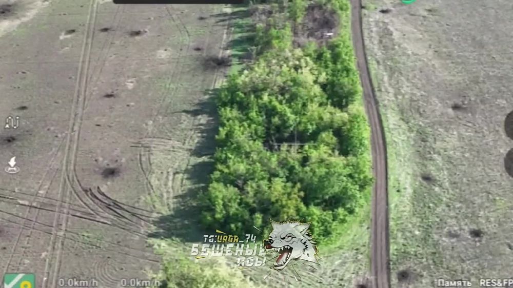 �������� ������������ �������� ��������� ��������� ����� ���