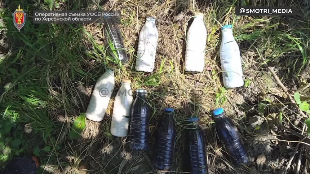 � ���������� ������� �������� ������������ ���������� ������, ��������������� � ��������������� ������� ������� �������� �������