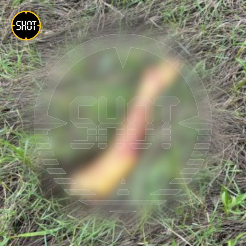 ������� ���� � ��������� ���� �������, ��� ����� ��������� � � ������� � ������ ����� "���������" � ���������� � ������������ �������