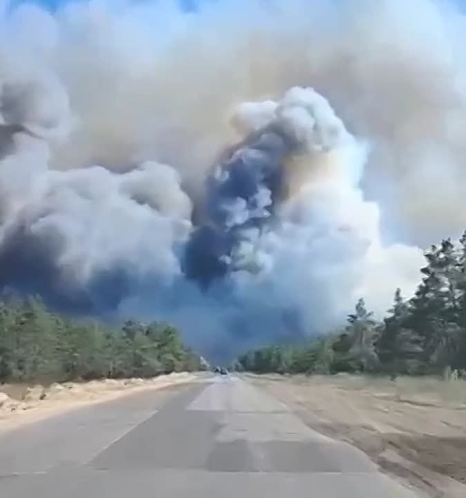 ����� � ���� ����������� ������ � ������ �������� �������