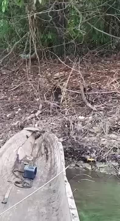 - �������, ����! - ������, �������