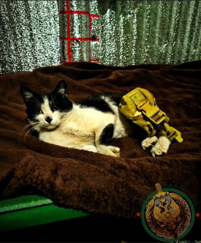 ��� ������: �������"����� �������"