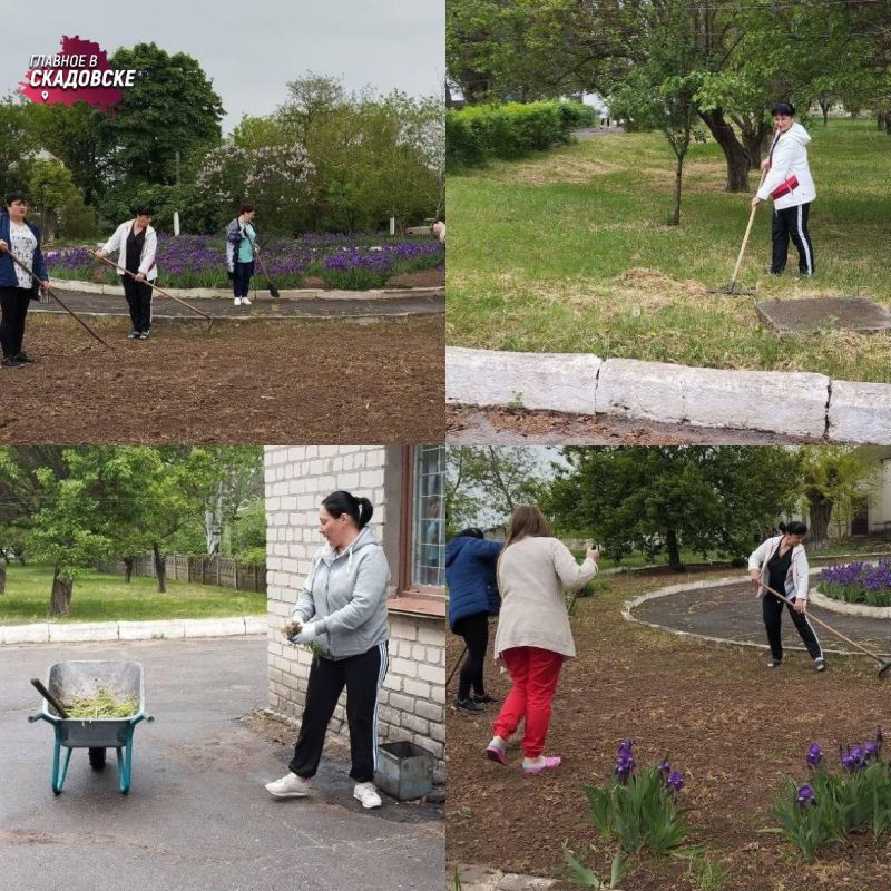 ���������� ����������������� �������� ������� ������� � ���������� � ��������� ������ ������� �� ���������� �������������