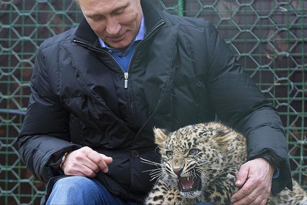 ��� ����� - ���������! ��� �����