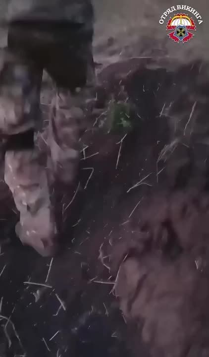 ������ ��������� ������ ���������� �� ����������� ����� �������, ���������� � ������� ����������