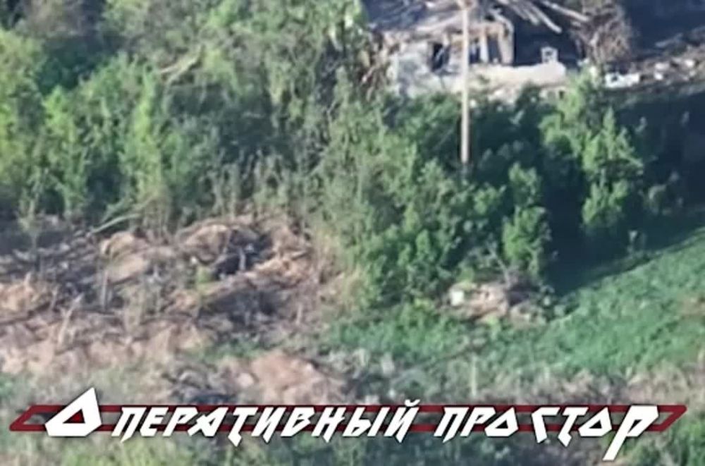 ��������� 20 ����� ���������� ���������� ����� ���