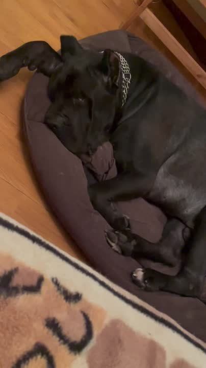 ������ ����� ����, ��� ���� ������ ������ �����!