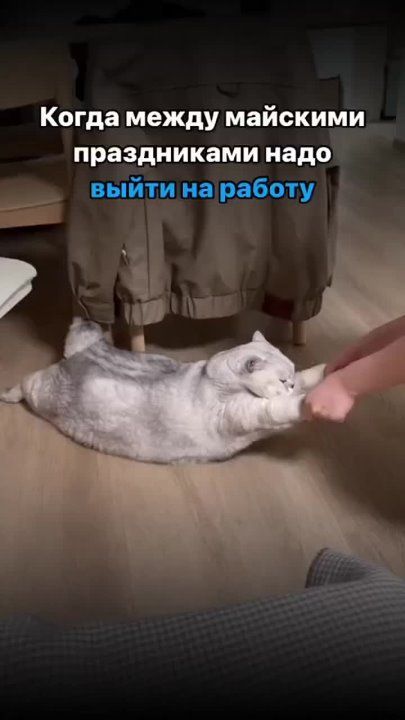 #������������