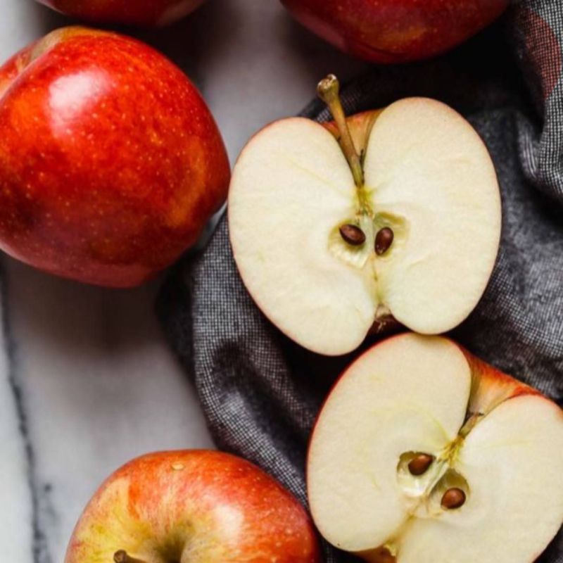 ������ �����. ������������ ����� ������� ����������� ����������� ��������� � �����. ������ �������� �����, ������ � ������� �