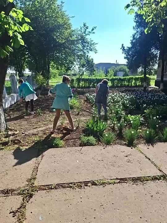 � �������������� �������� � ���������� 9 ��� ������ ���������