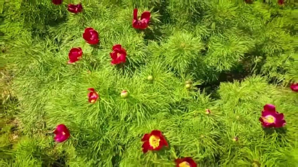 �������� ������: � �������� ������� �������-���� �������� ���� �� ����� ����� � �������������� ����� �����