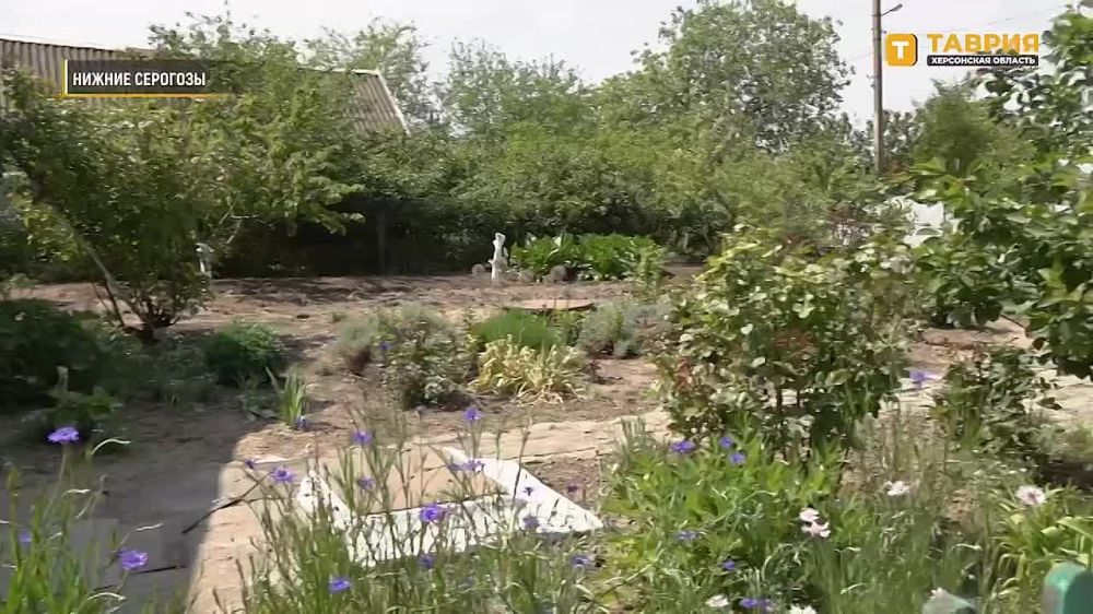 ��������� ������� ������������� ����� ��������� ������� �� ���������� ������� ���������� �����