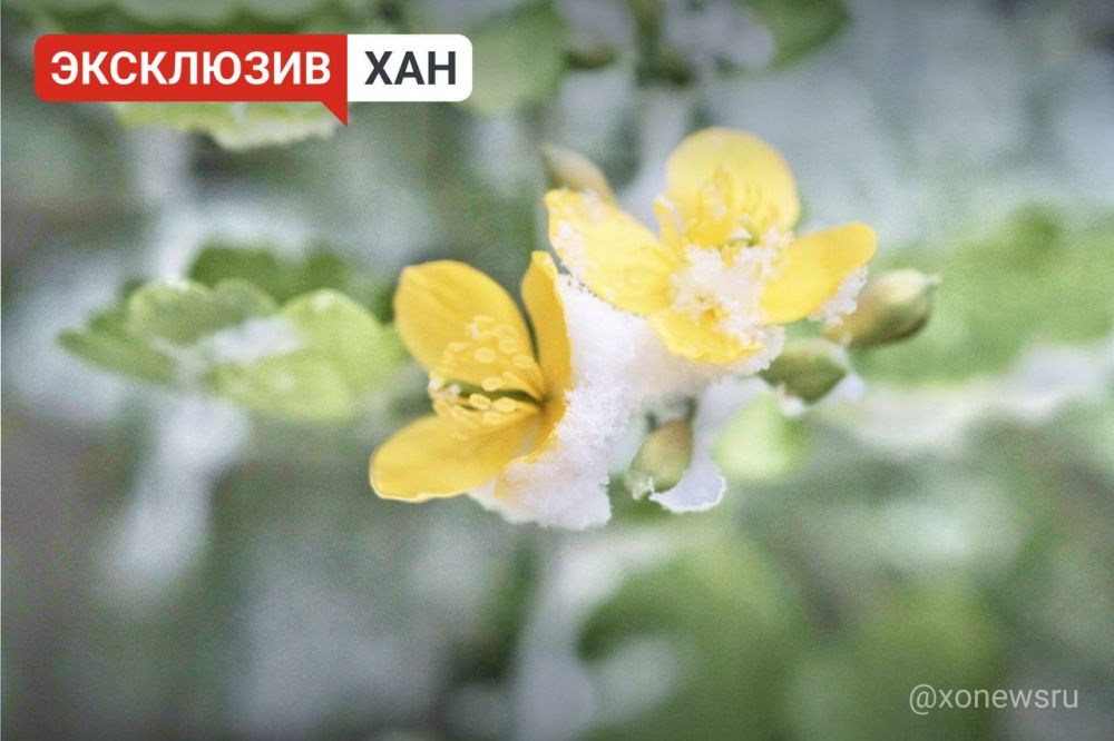 ������ �������� ���, ��� ������ ������� � ����������� ������