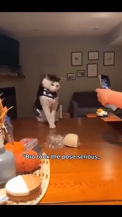 ������� ������� ������������