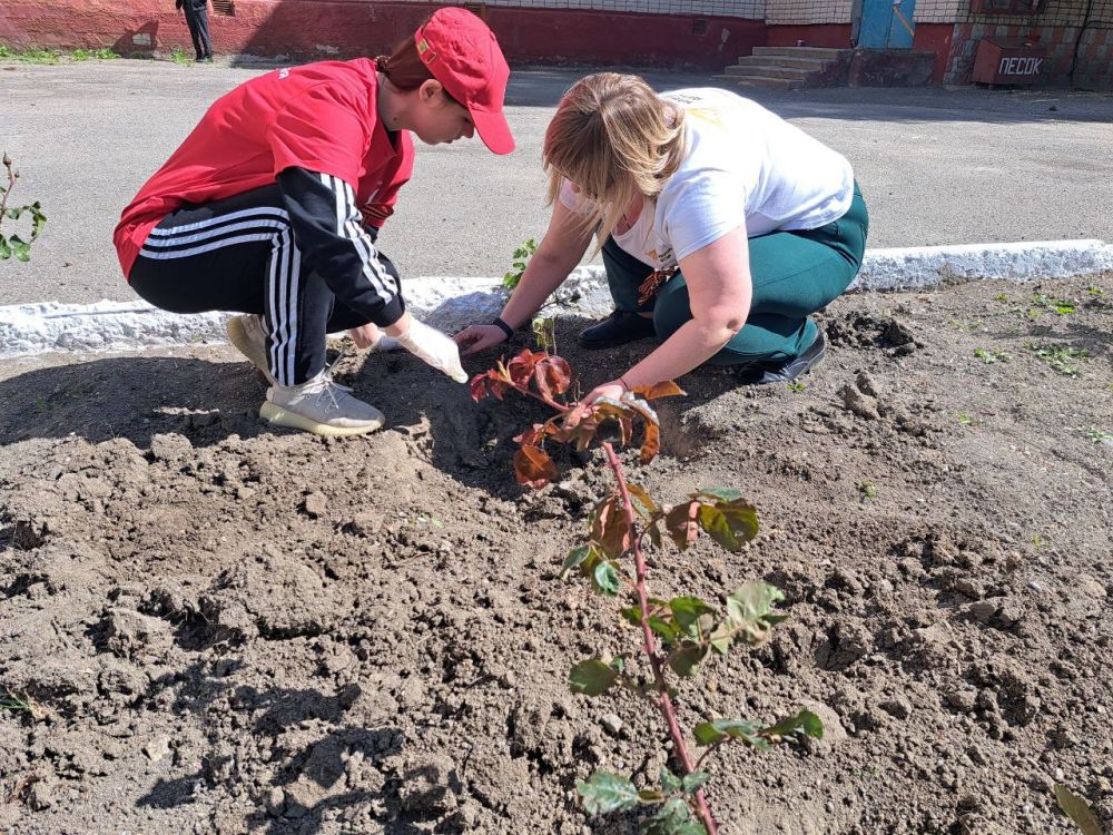 ������������� ����� ���� ������ ������ � ���������� ������������ ��������