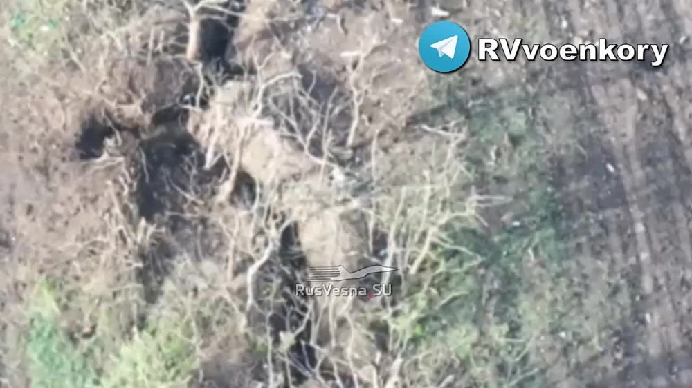 ������ "������ �����" ��������� ������ ���, ������� � ���������� ���, ������������ � ���������