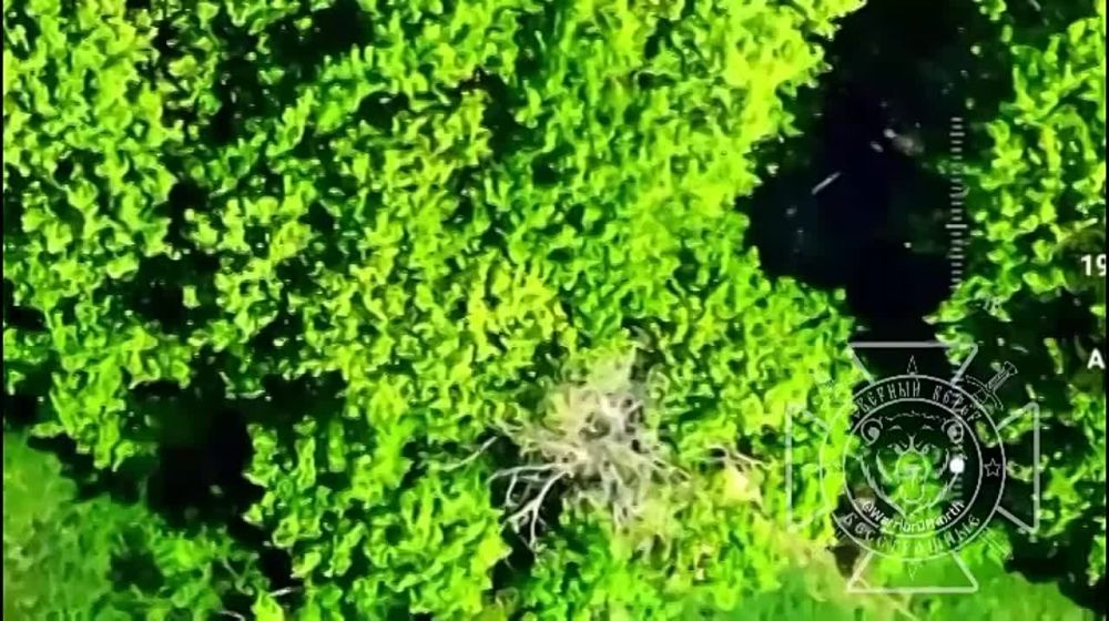 ���������� ����������� "�����" ��������� � ���������� ������� ��� ���