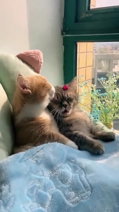 ����� ������� ����, �� ���-�� ������ �� ���������� ���������� � ���� ��� ���� ��������