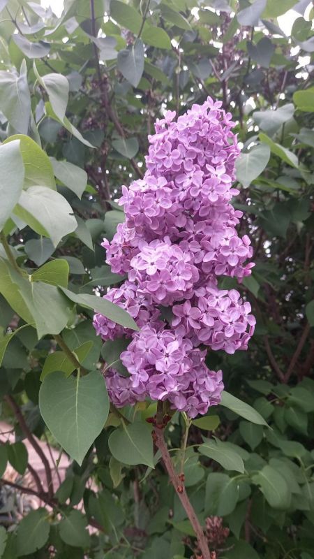 ��� - ����� ������!. ������ �������� ������� �� ��������������� �������������