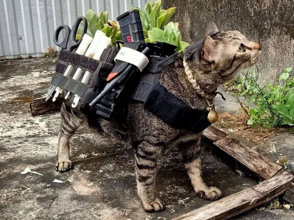 � ����� �� ������ ������������� ������ �������-�����