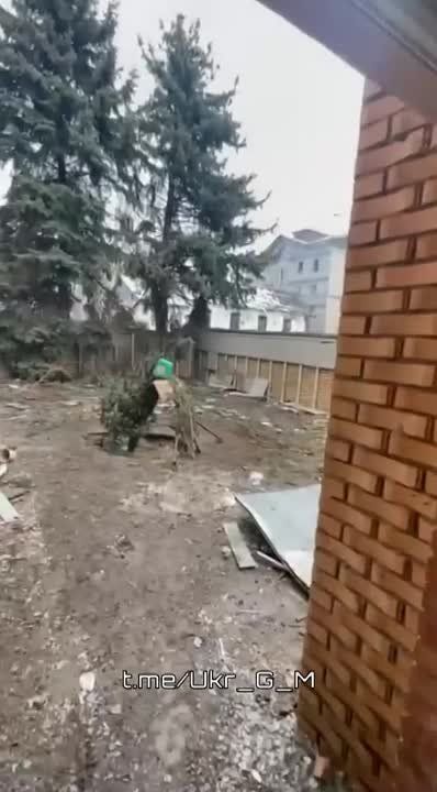 ������� ��� ���������� ������� ������������ ����������� ��������� ��� ���� �����