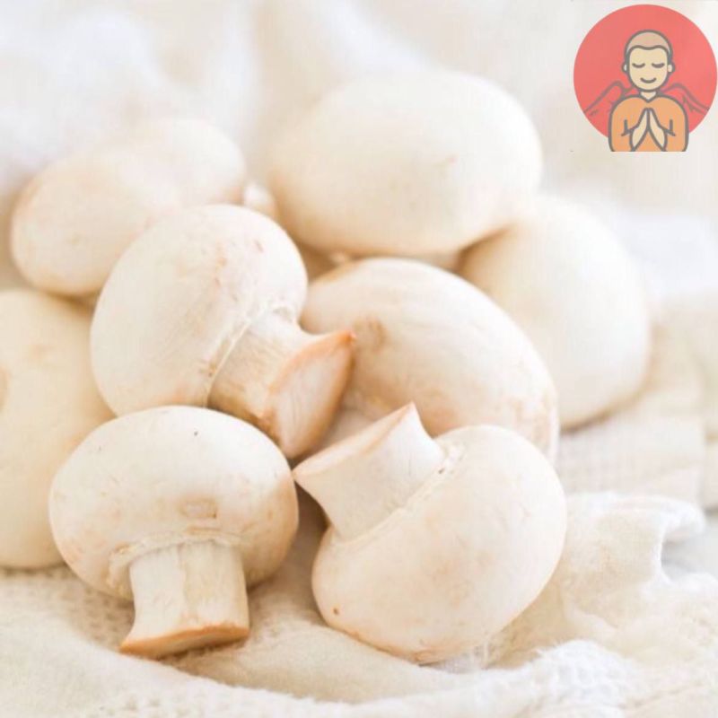 � ������ �����������. � ���� ������ ������� �� ��������� ��� ������ ����� �������, ������� � ��������� � ������. ���������� �������� ������, �����, ����, ������ � �������� E, D, B