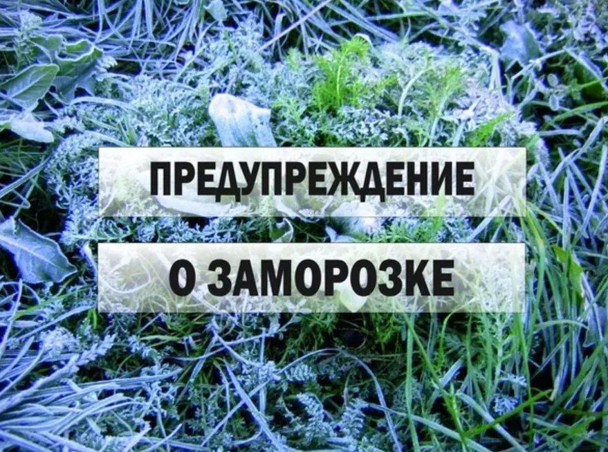 �� ������ �������������� �� ���������� ���������� ������� ���� ����� ��������� ���������, ������� ��������� �� ���� 11 ���