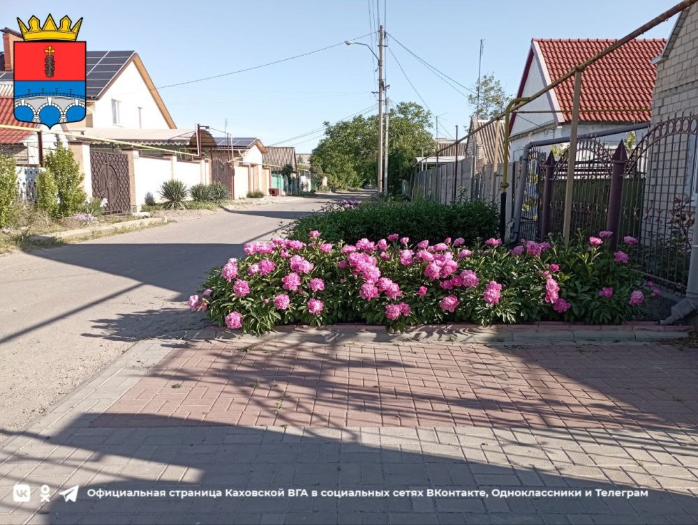 ������ ����, �������!. @VGA_Kakhovka