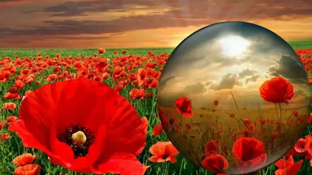 ����������� ������������ �������� �������������� ���������� ������ � 9 ���